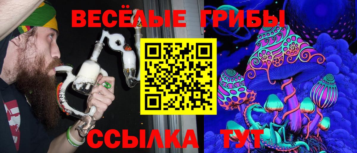 Жигулёвск  Псилоцибиновые грибы прущие грибы  Псилоцибиновые грибы Cubensis  закладка  Вход с VPN 